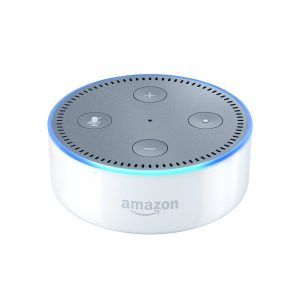echo alb